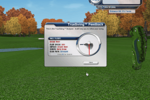 Tiger Woods PGA Tour 2004 7