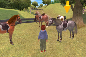 Time to Ride: Saddles & Stables 2