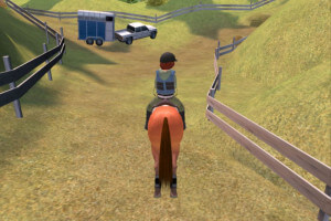 Time to Ride: Saddles & Stables 3