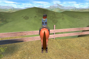 Time to Ride: Saddles & Stables 4