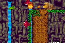 Toki 10
