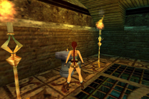 Tomb Raider: Chronicles 14