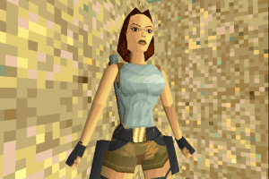 Tomb Raider: Gold 13
