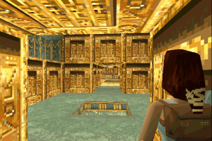 Tomb Raider: Gold 17