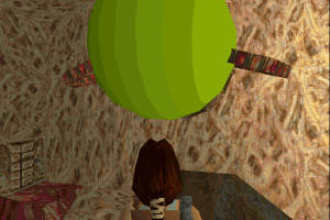 Tomb Raider: Gold 29