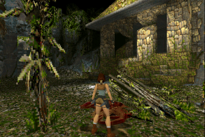 Tomb Raider 14
