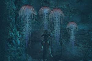 Tomb Raider: Underworld 3