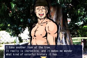 Tomitake Princess Windows