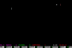 Tommy's Paddles abandonware