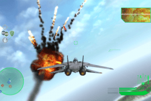 Top Gun abandonware