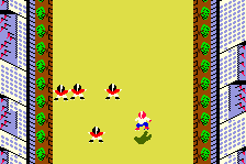Top Roller 1