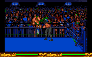 Top Wrestling abandonware