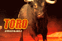 Toro 0