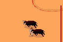 Toro 2