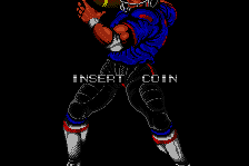 Touchdown Fever abandonware
