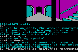 Treasure Island 19