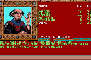 Treasures of the Savage Frontier - My Abandonware