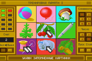 Trenirovka Pamjati 5