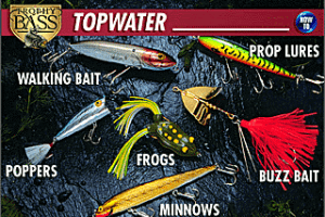 Trophy Bass 3