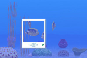 Tropical Dream: Underwater Odyssey 8
