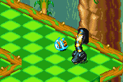 Tropical Madness 6