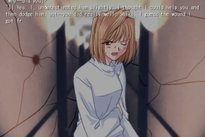 Tsukihime 8