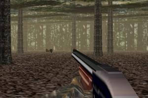 Turkey Hunt 3D abandonware