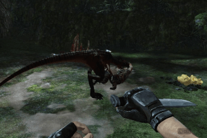 Turok 9