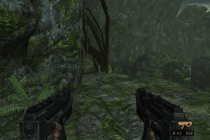 Turok 13