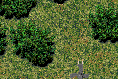 Twin Eagle 1