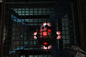 Twin Sector 17