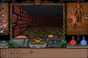 Ultima Underworld: The Stygian Abyss 8