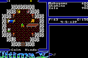 Ultima V: Warriors of Destiny 10
