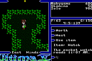 Ultima V: Warriors of Destiny 11