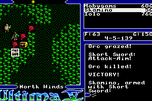 Ultima V: Warriors of Destiny 13