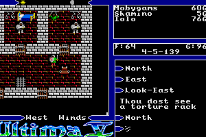 Ultima V: Warriors of Destiny 16