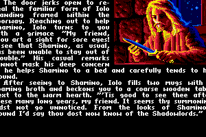Ultima V: Warriors of Destiny 6
