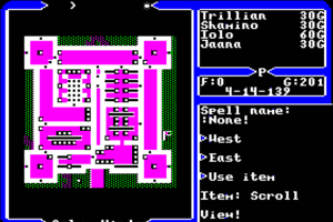 Ultima V: Warriors of Destiny 10
