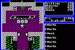 Ultima V: Warriors of Destiny 13