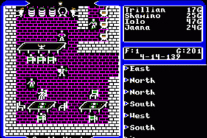 Ultima V: Warriors of Destiny 14