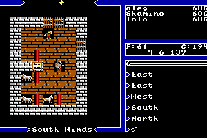 Ultima V: Warriors of Destiny 13