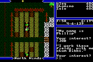 Ultima V: Warriors of Destiny 15