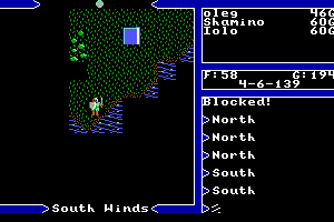 Ultima V: Warriors of Destiny 17