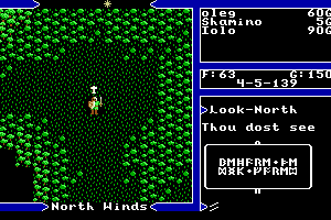 Ultima V: Warriors of Destiny 3