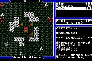 Ultima V: Warriors of Destiny 8