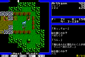 Ultima V: Warriors of Destiny 14