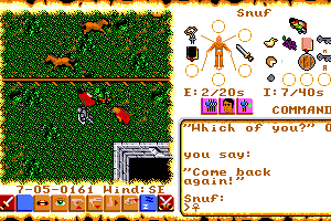 Ultima VI: The False Prophet 17