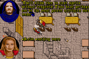 Ultima VII: Part Two - The Silver Seed 24