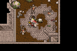 Ultima VII: Part Two - The Silver Seed 28