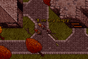Ultima VII: The Black Gate 18